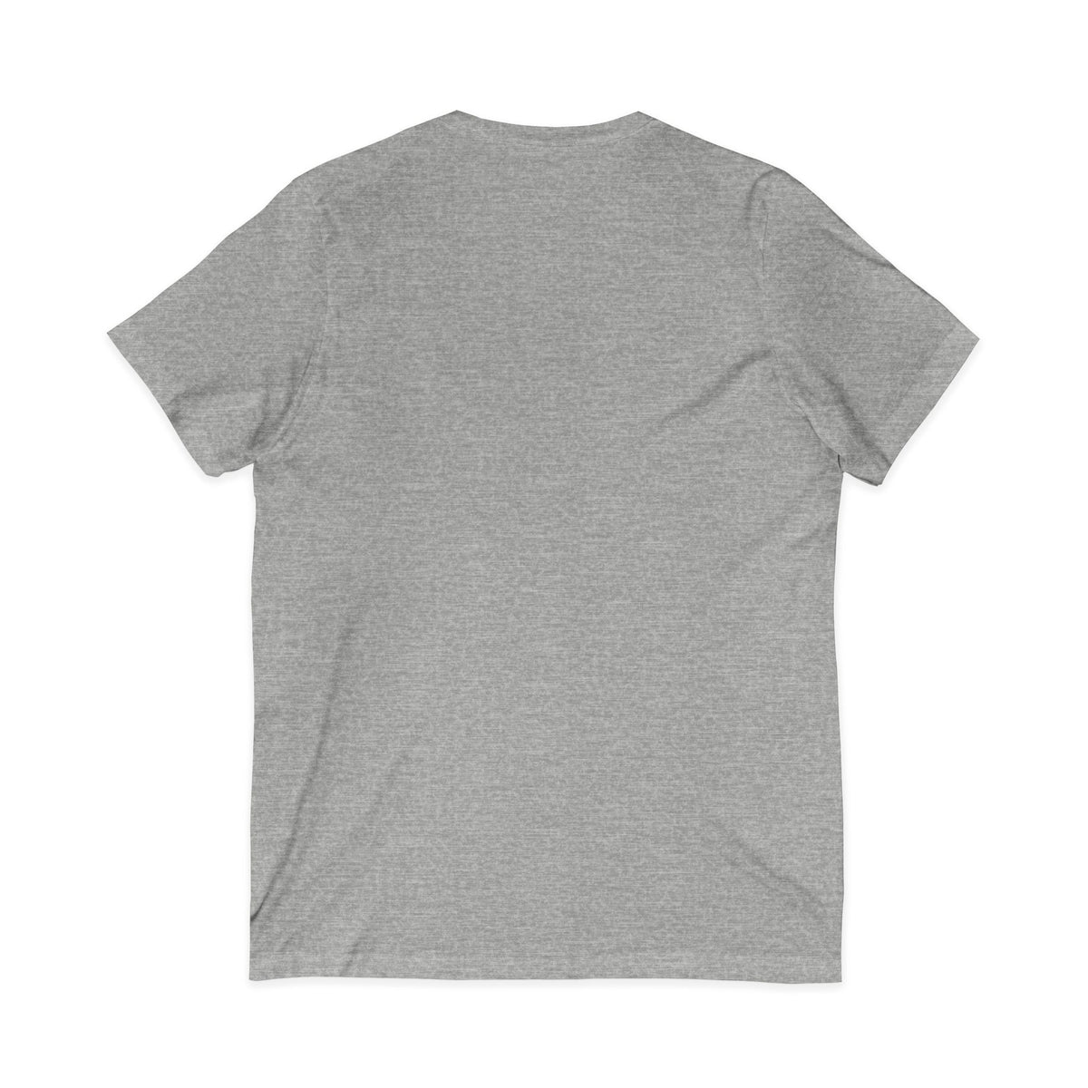 Mestizo Louisiana V-Neck Tee — Heritage Map Design