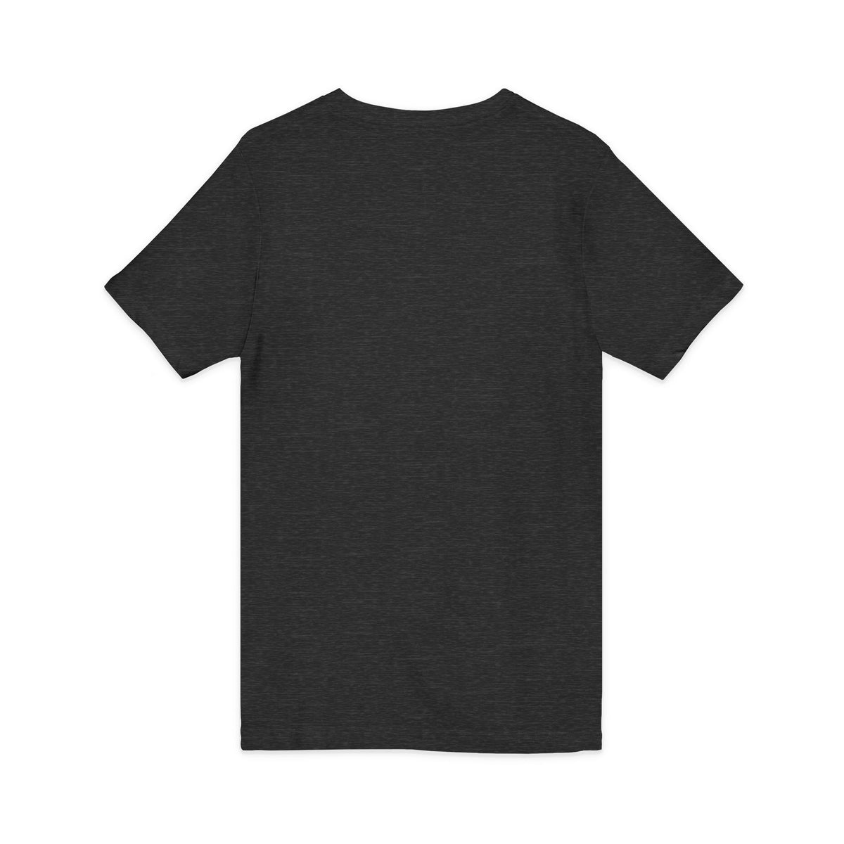 Mestizo Louisiana V-Neck Tee — Heritage Map Design