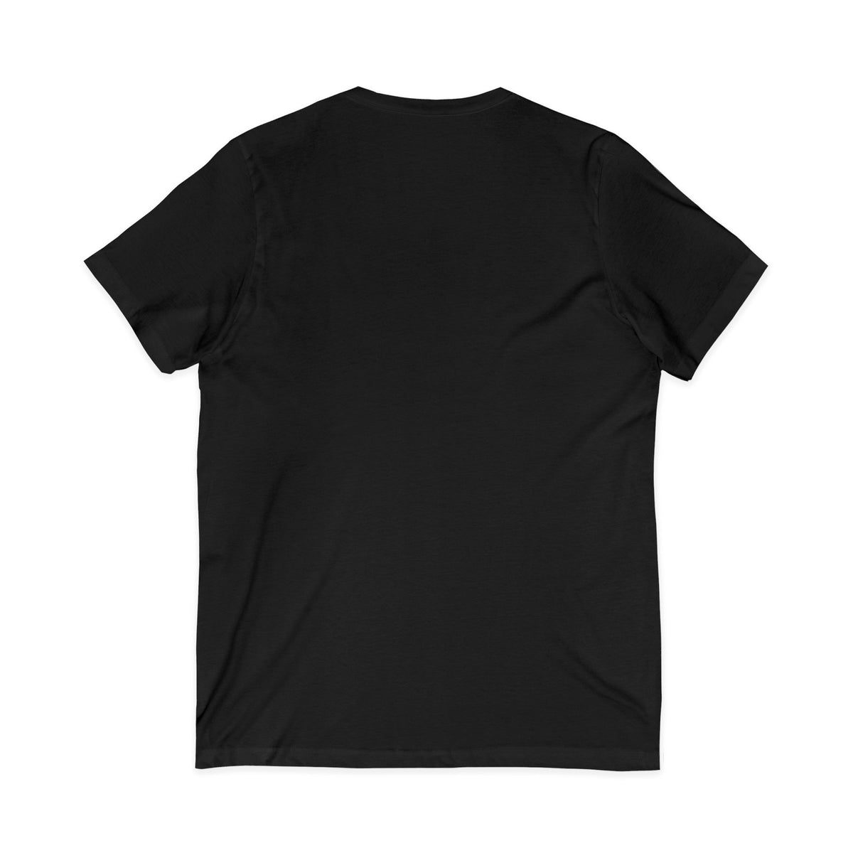 Mestizo Louisiana V-Neck Tee — Heritage Map Design