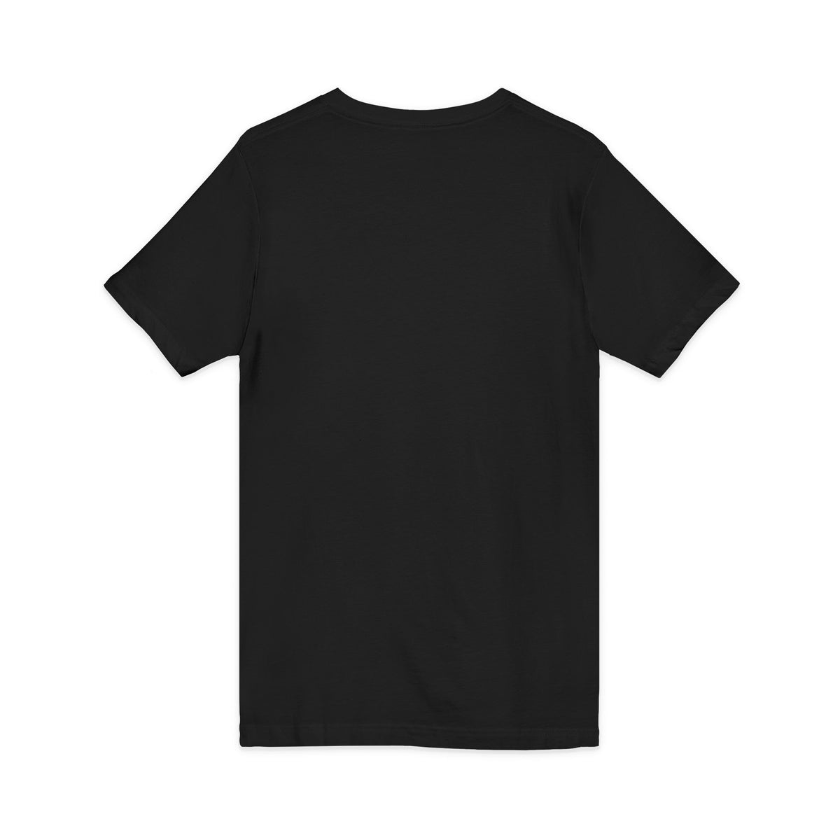 Mestizo Louisiana V-Neck Tee — Heritage Map Design