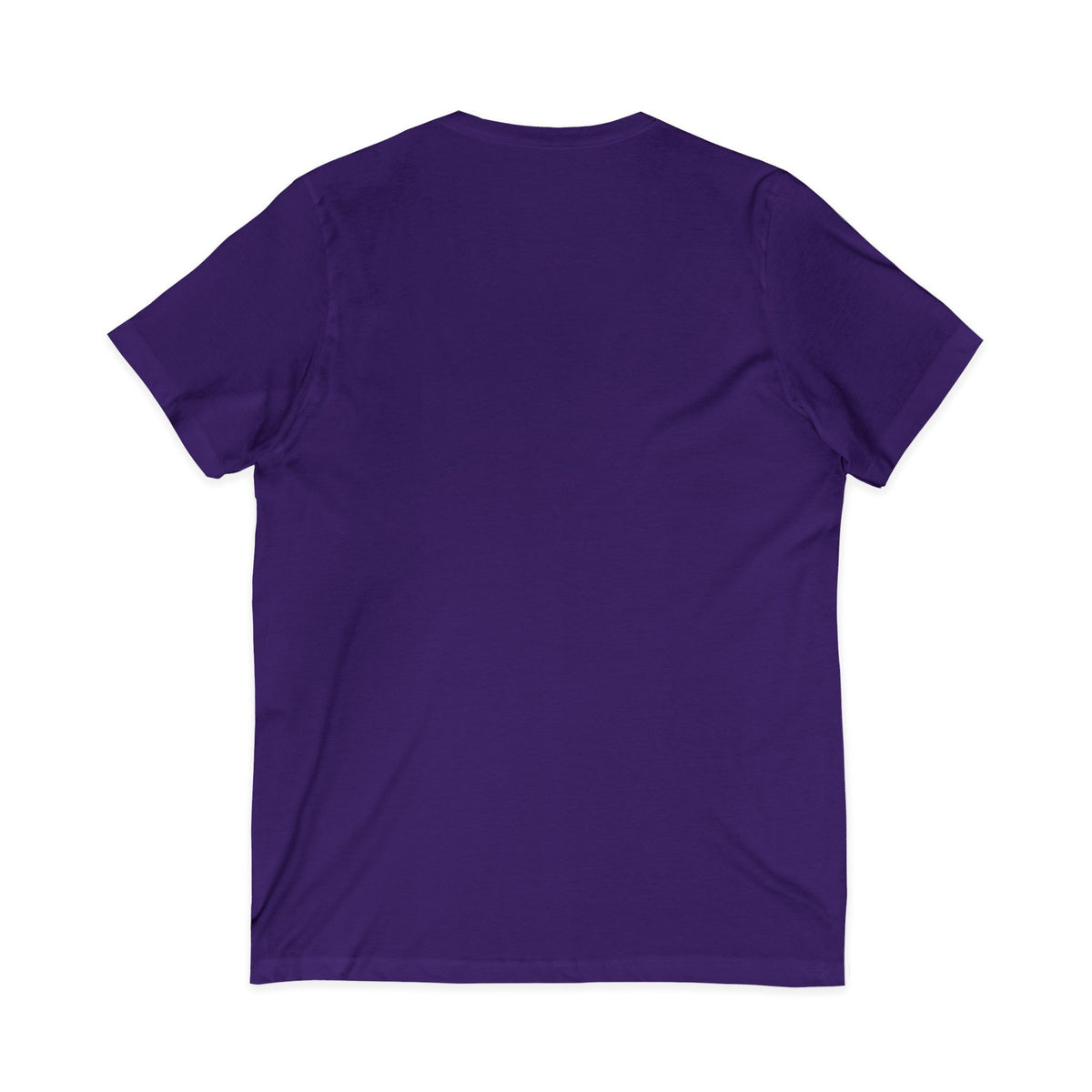 Mestizo Louisiana V-Neck Tee — Heritage Map Design