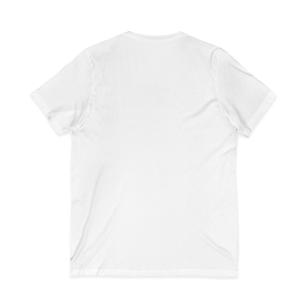 Mestizo Louisiana V-Neck Tee — Heritage Map Design