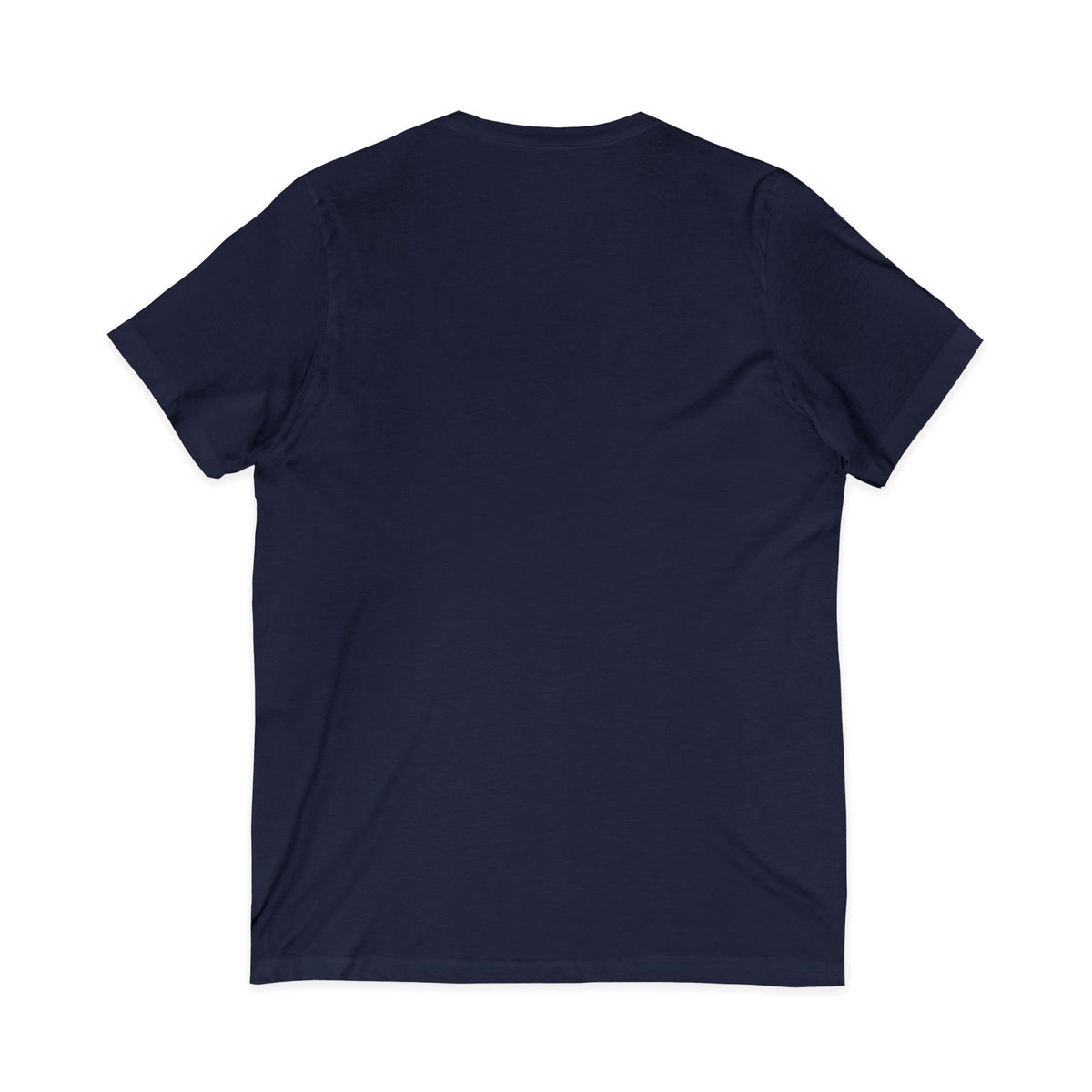 Mestizo Louisiana V-Neck Tee — Heritage Map Design
