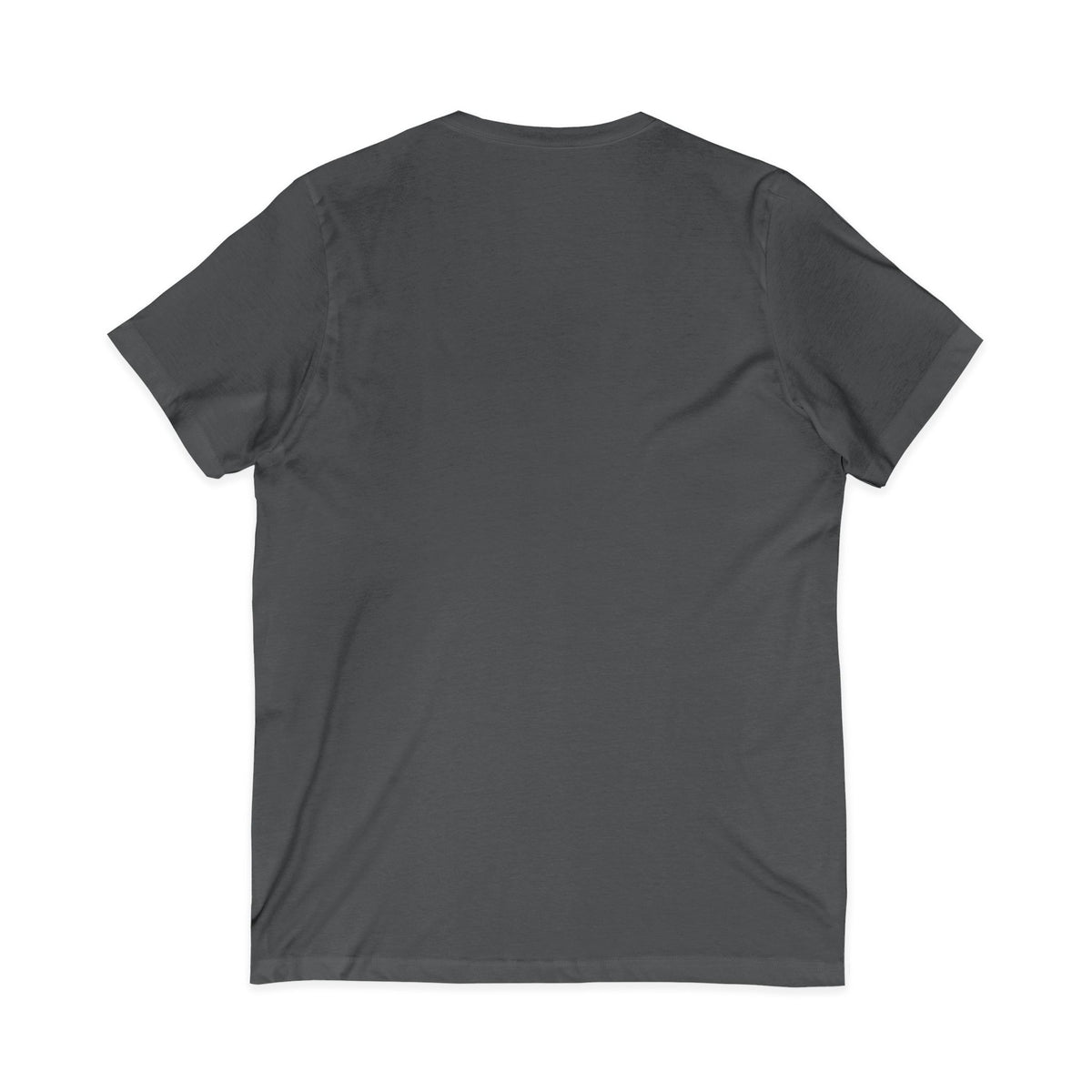 Mestizo Louisiana V-Neck Tee — Heritage Map Design