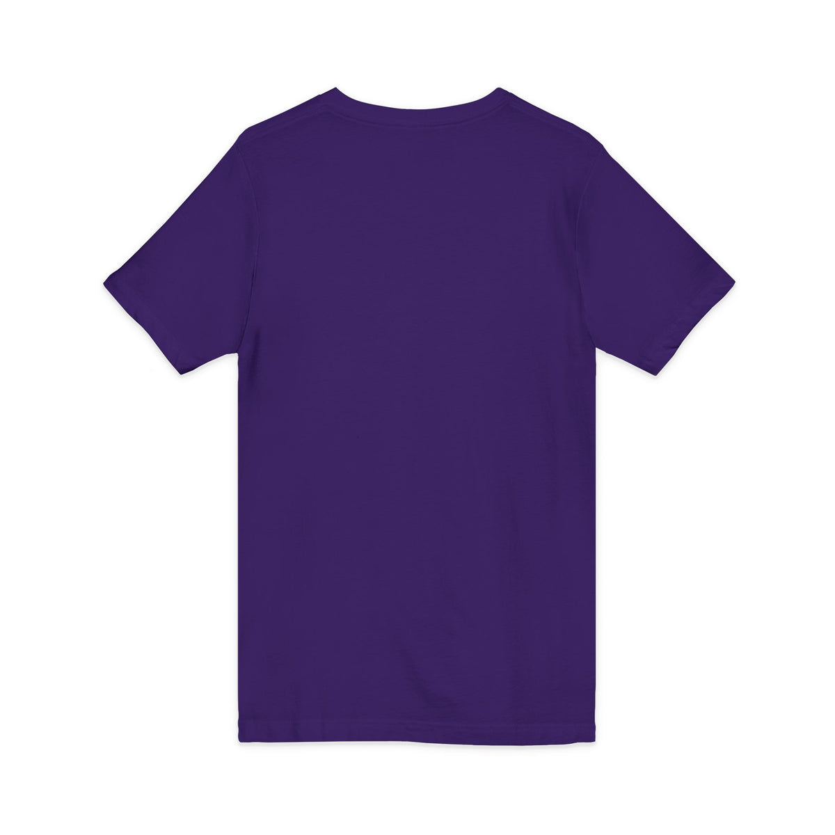 Mestizo Louisiana V-Neck Tee — Heritage Map Design