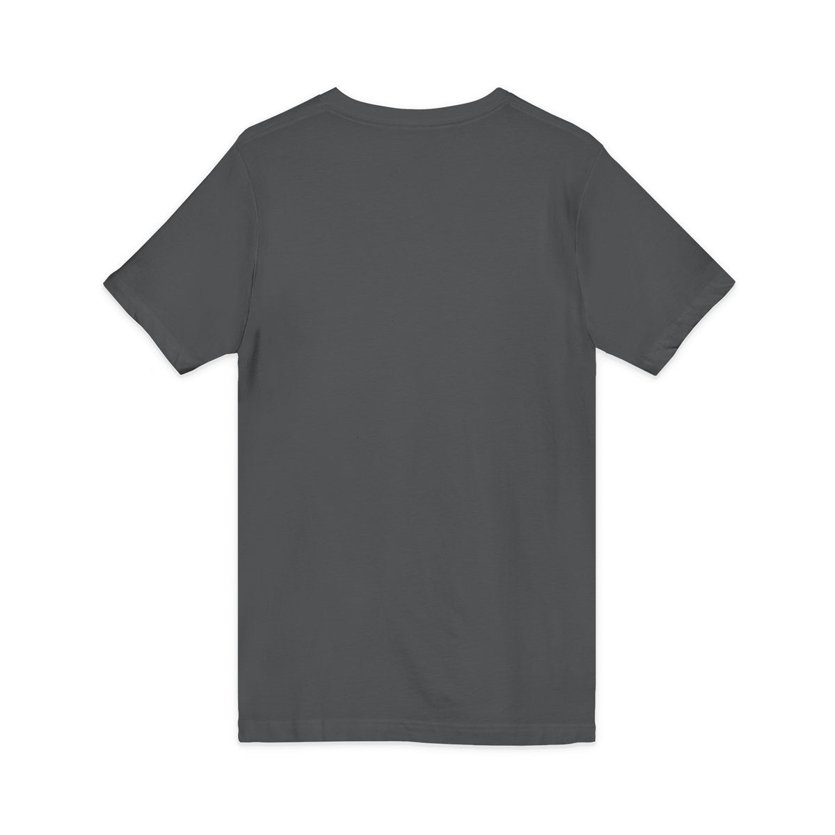 Mestizo Louisiana V-Neck Tee — Heritage Map Design