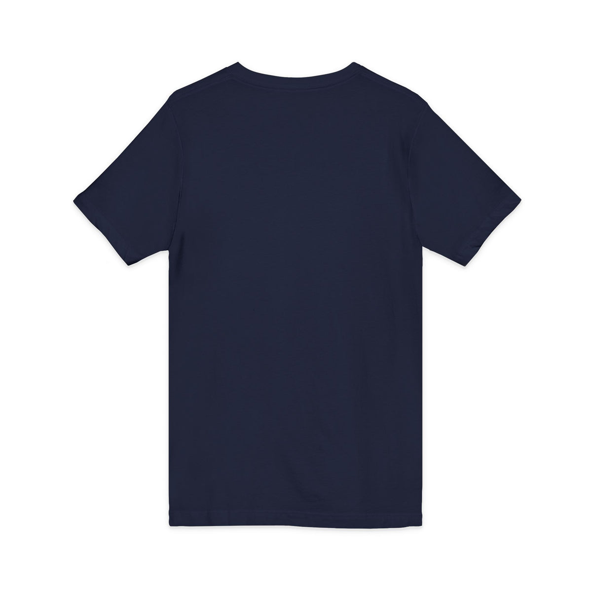 Mestizo Louisiana V-Neck Tee — Heritage Map Design