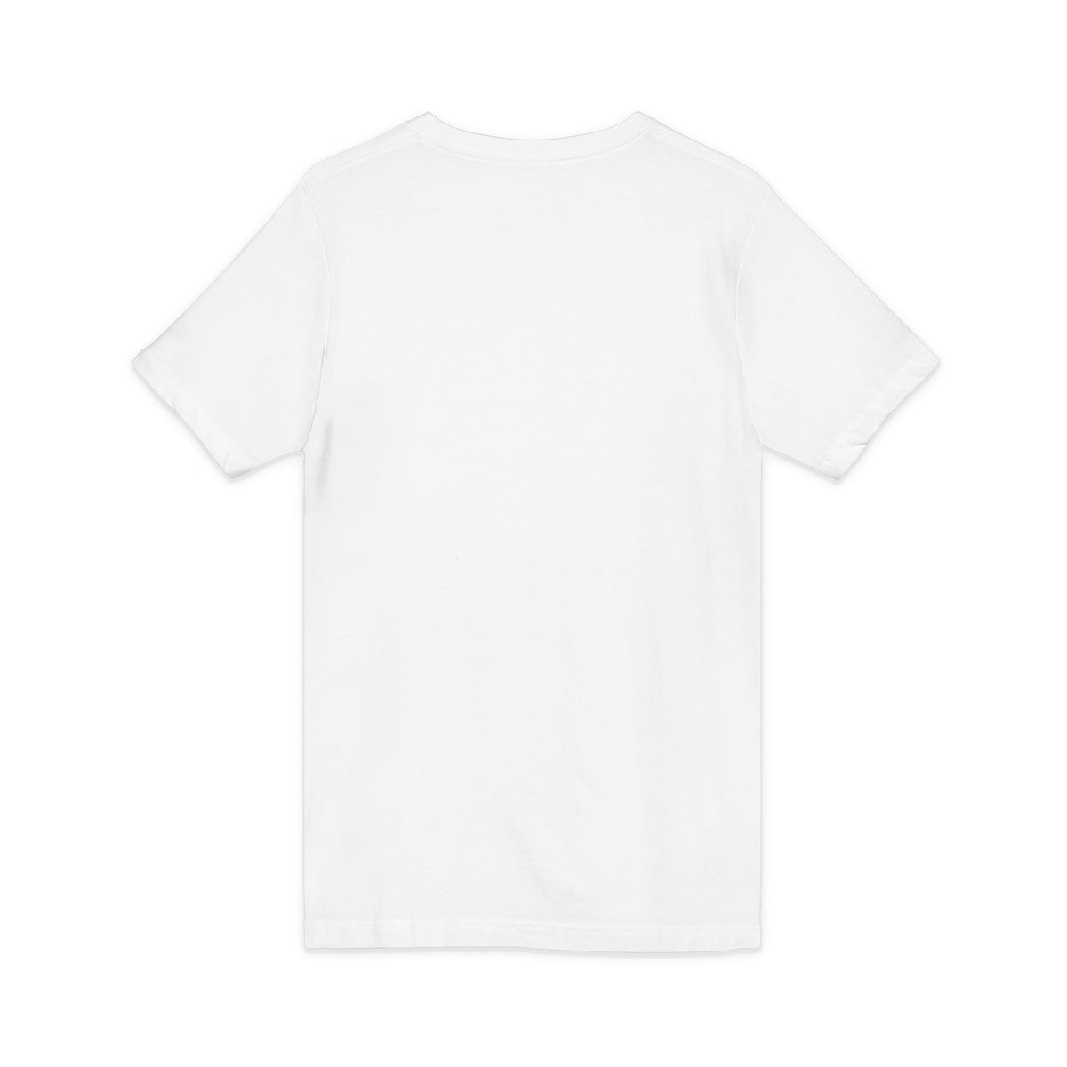 Mestizo Louisiana V-Neck Tee — Heritage Map Design