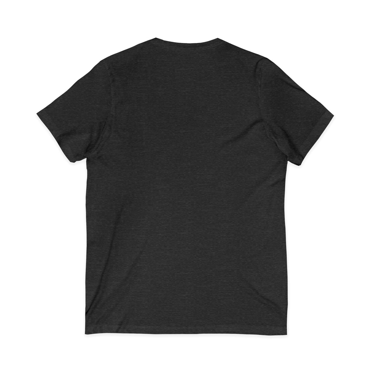 Mestizo Louisiana V-Neck Tee — Heritage Map Design
